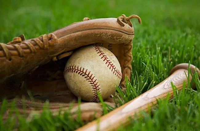 Tìm hiểu các loại kèo phổ biến trong bóng chày Saowin